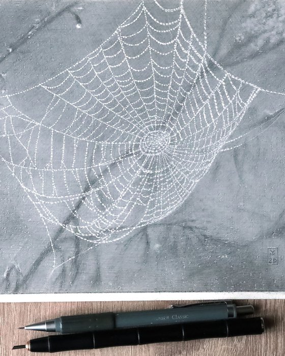 Spiderweb: Lace Doily