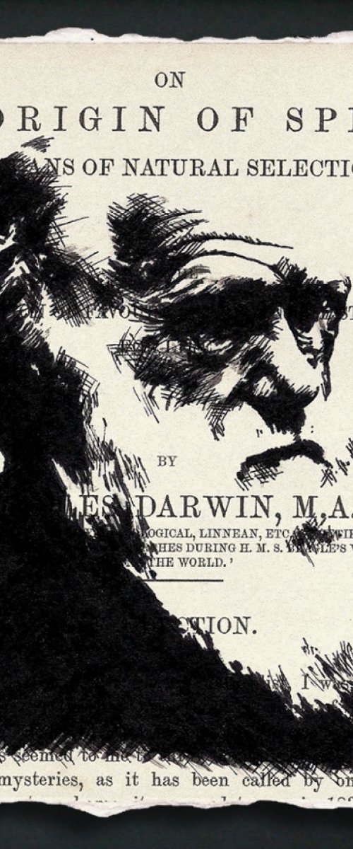 Darwin - On the Origin of Species (Framed) by Peter Walters