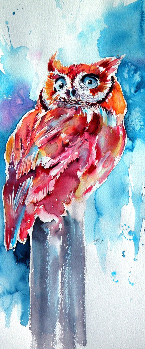 Cute owl by Kovács Anna Brigitta