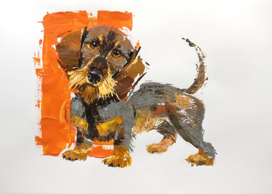 Wire-Dachshund