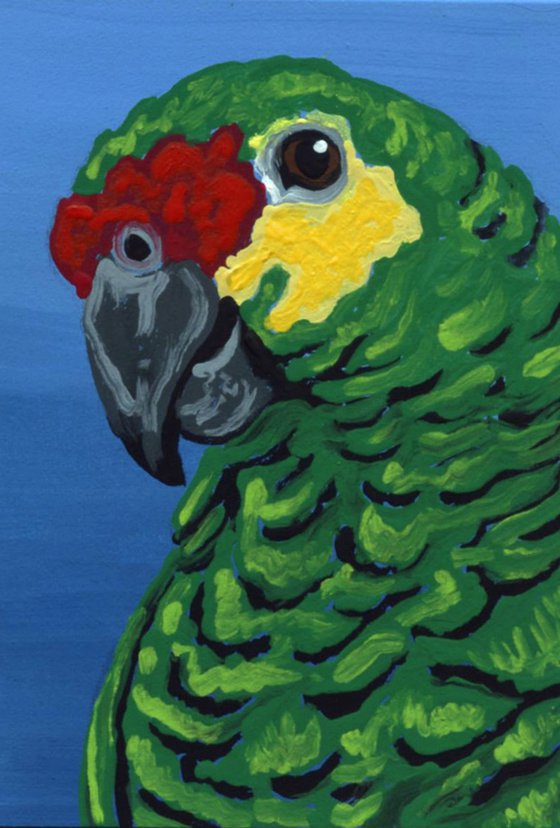 ACEO ATC Original Miniature Painting Red Lorred Amazon Parrot Pet Bird Art-Carla Smale