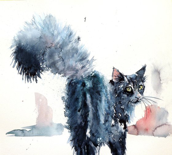 Black cat watching