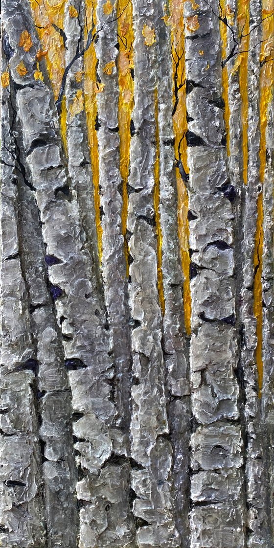 Textured  Thick Birch Trees