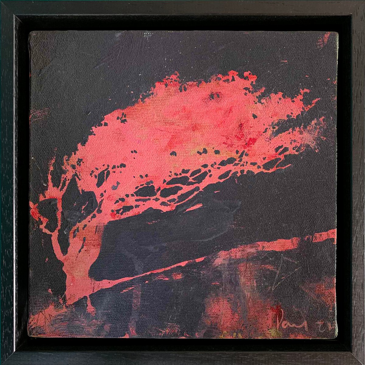 Pink Hawthorn (framed) by Paul West