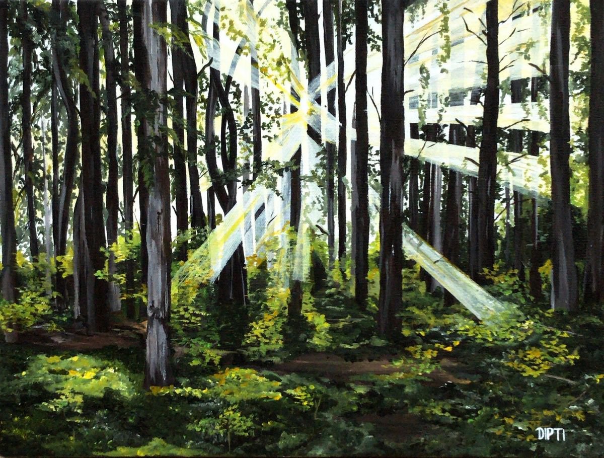 Enchanted Woods by Dipti Janardhana