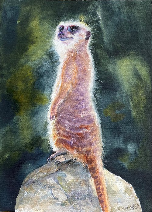 On the Lookout_Meerkat by Arti Chauhan