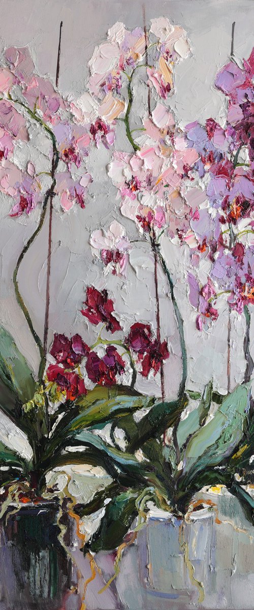 Blooming Orchids by Anastasiia Valiulina