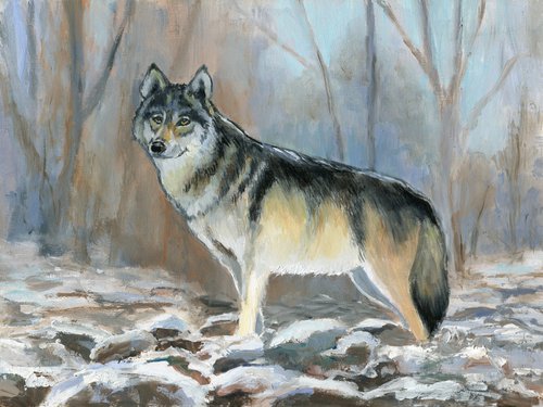 Winter wolf in snowy forest scene by Lucia Verdejo