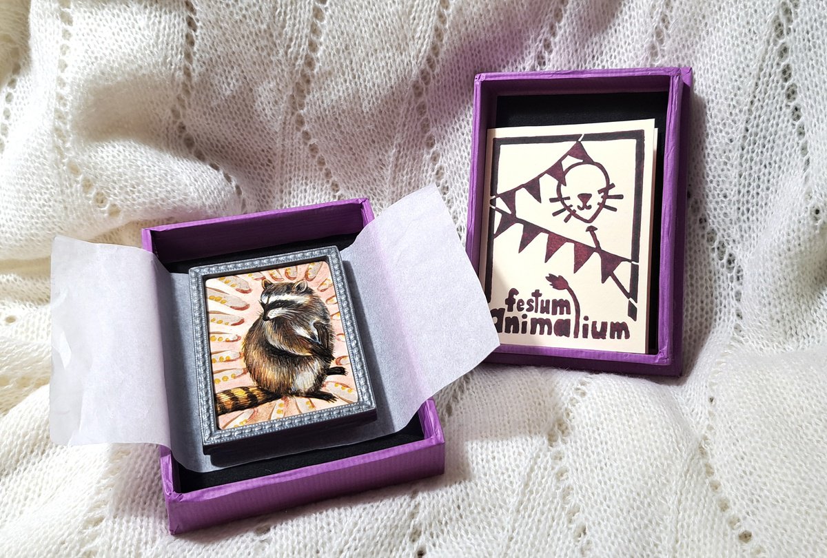 Racoon, part of framed animal miniature series festum animalium by Andromachi Giannopoulou