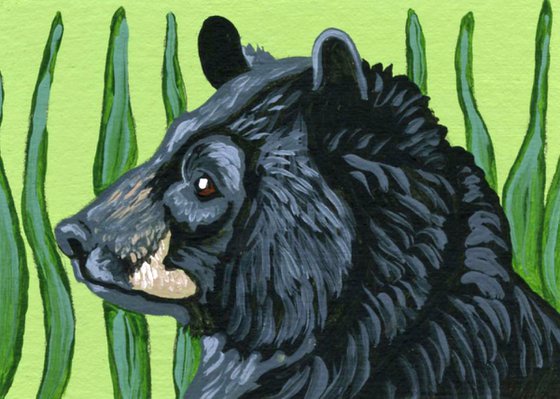 ACEO ATC Original Miniature Painting Black Bear Wildlife Art-Carla Smale