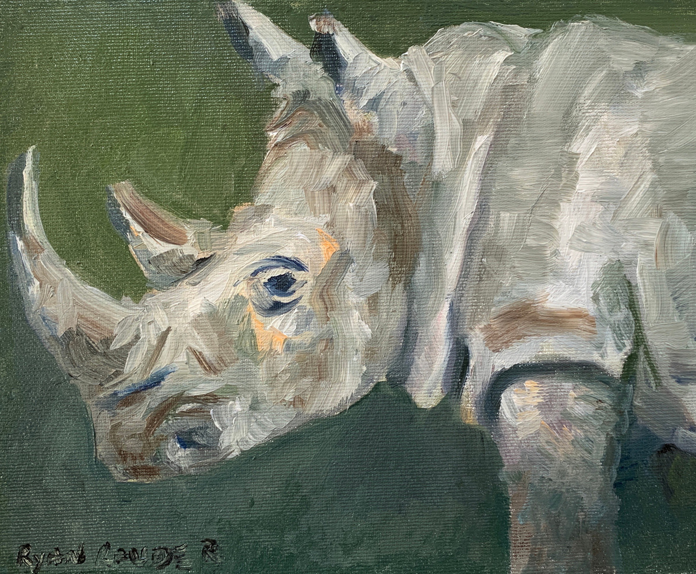 Rhino Small Oil Painting 8x10 By Ryan Louder Artfinder