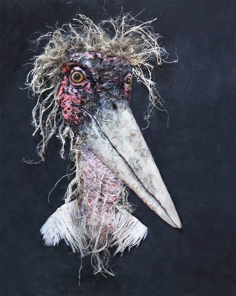 marabou stork by Sol Vil