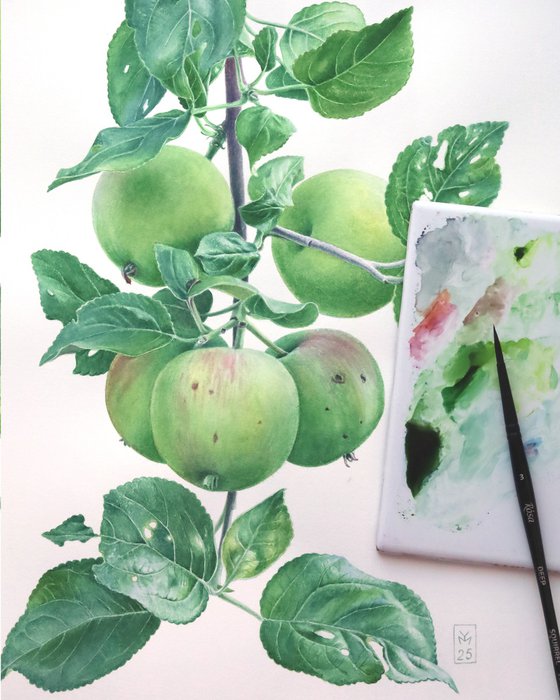 Green Apples