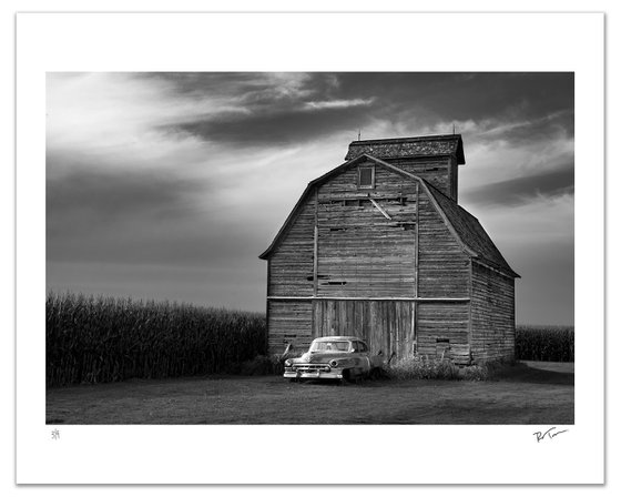 In a Realm All It's Own