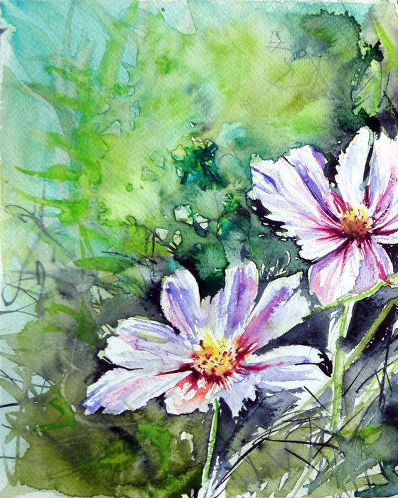 Windflowers