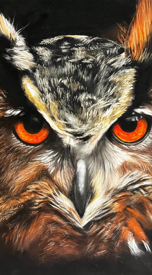 Amber Gaze - Original Owl Portrait by Angelo Di Carlo