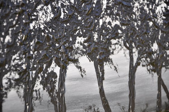 Black Trees
