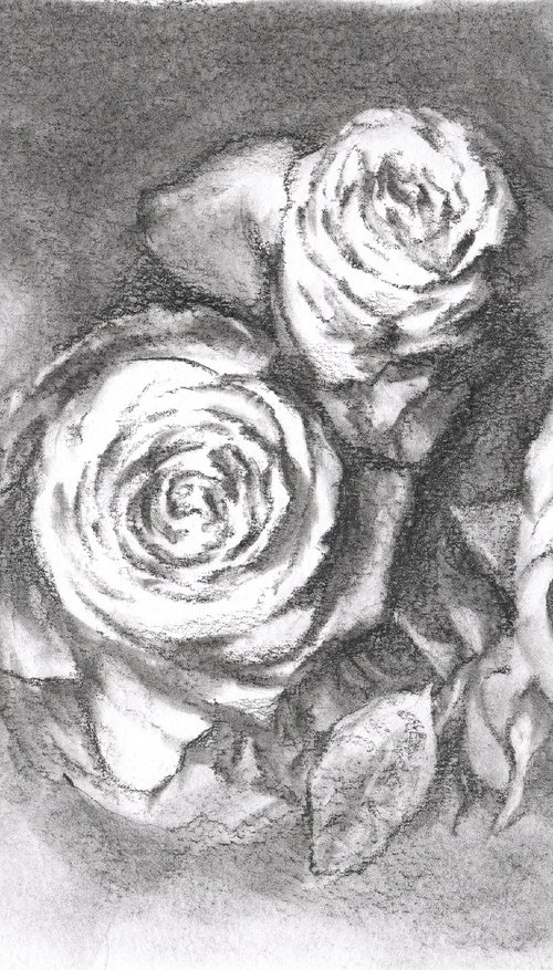 Roses. Sheet 03. Graphite Flowers Series by Sergei Skachkov