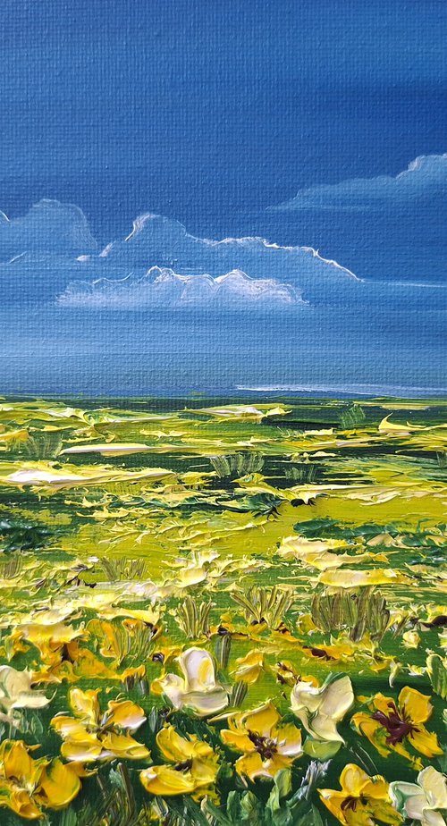 The Fields of Gold by Nataliia Plakhotnyk