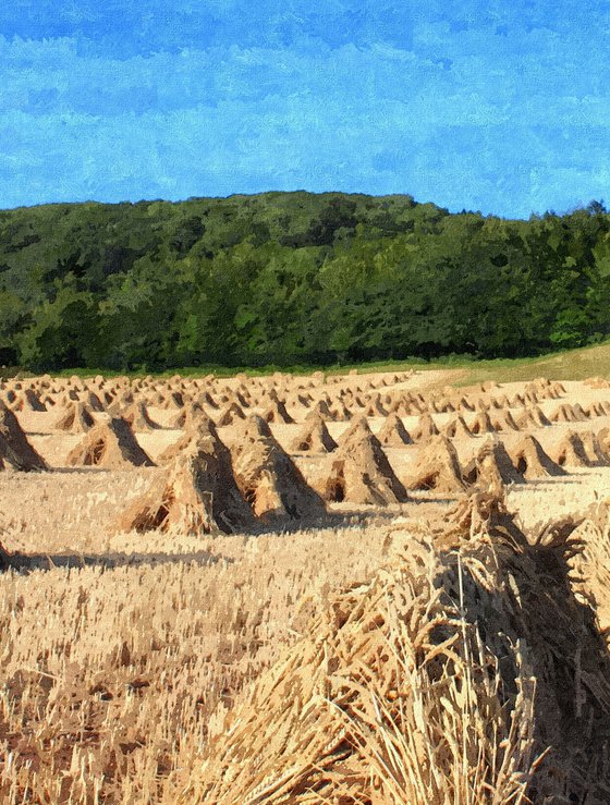 Wheat Stacks