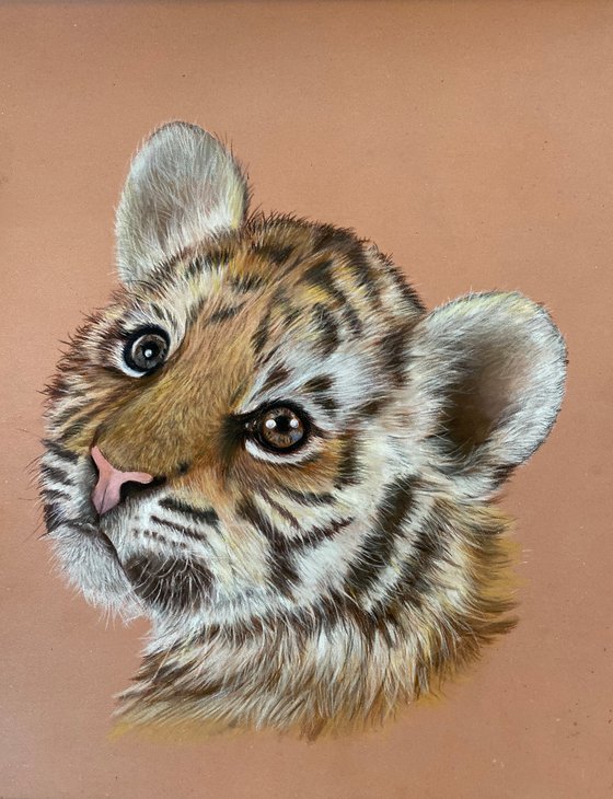 Tiger cub