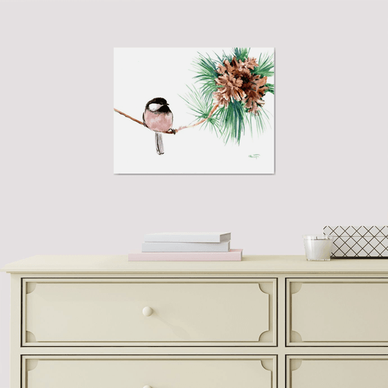 Chickadee on the Pine Tree