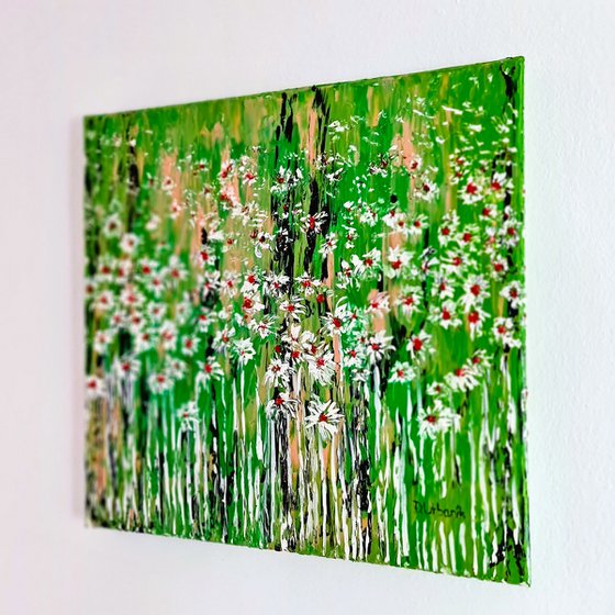 Daisies In The Grass 5