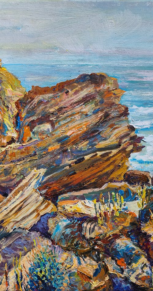 Coastal Rocks with Surfer by Anastasiia Aguf