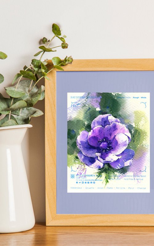 Purple light. Anemone by Ksenia Selianko