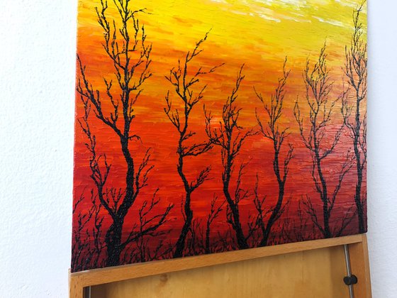 Sunny trees