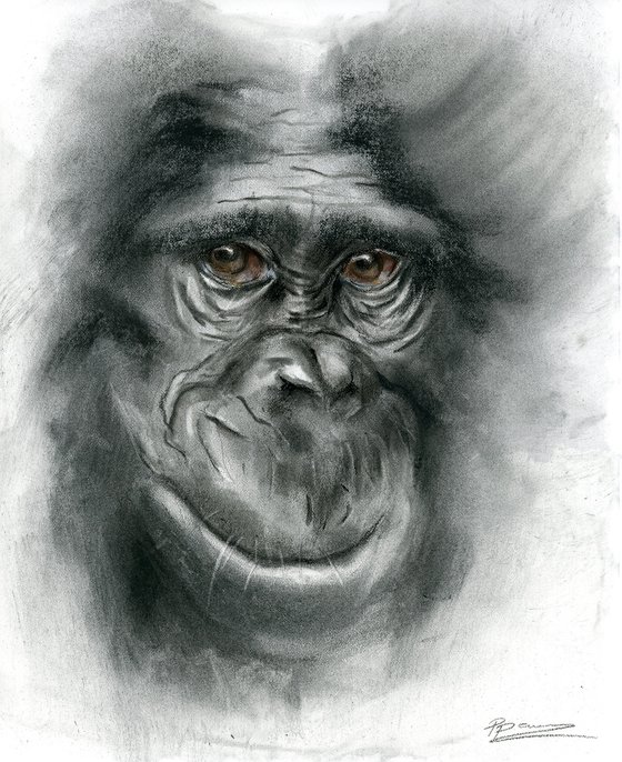 Monkey