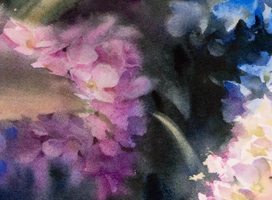 Hydrangea palette