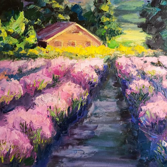 Summer Landscape Lavender fields near the mountains