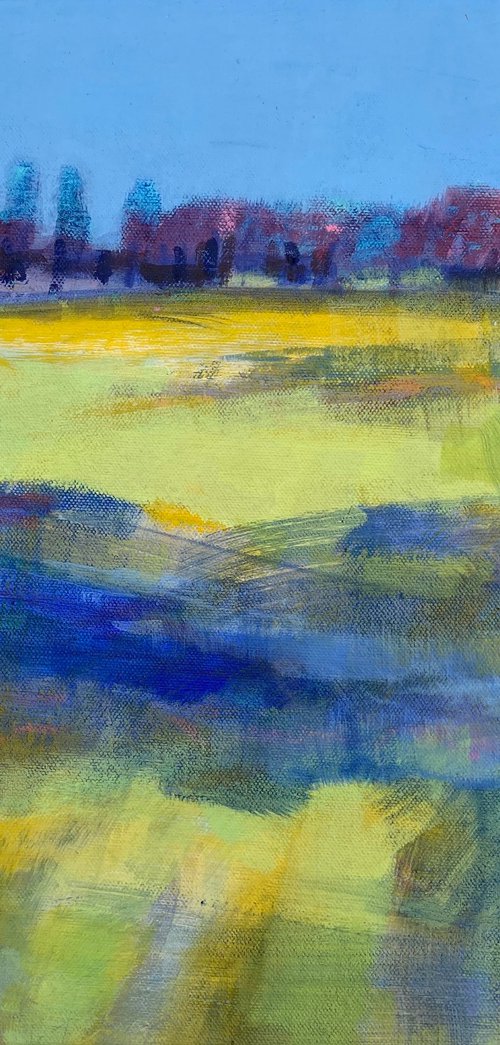 Hawthorn Hedge by Chrissie Havers