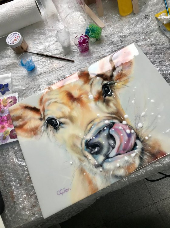 Messy Fred -  Original Oil Painting Jersey Cow, Resin 16x12"