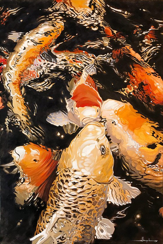 GOLDEN KOI FEEDING