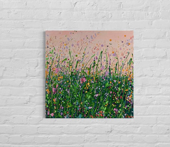 Blush Meadow Sunset
