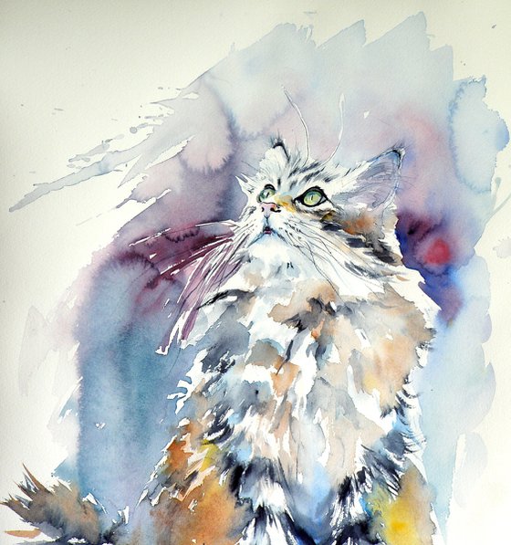 Cat in the snow