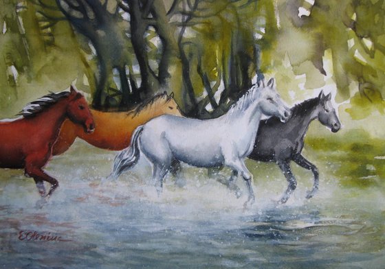 Free and wild
