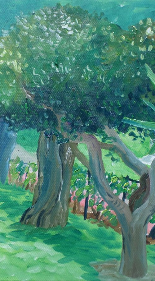 Olive Tree by Kirsty Wain
