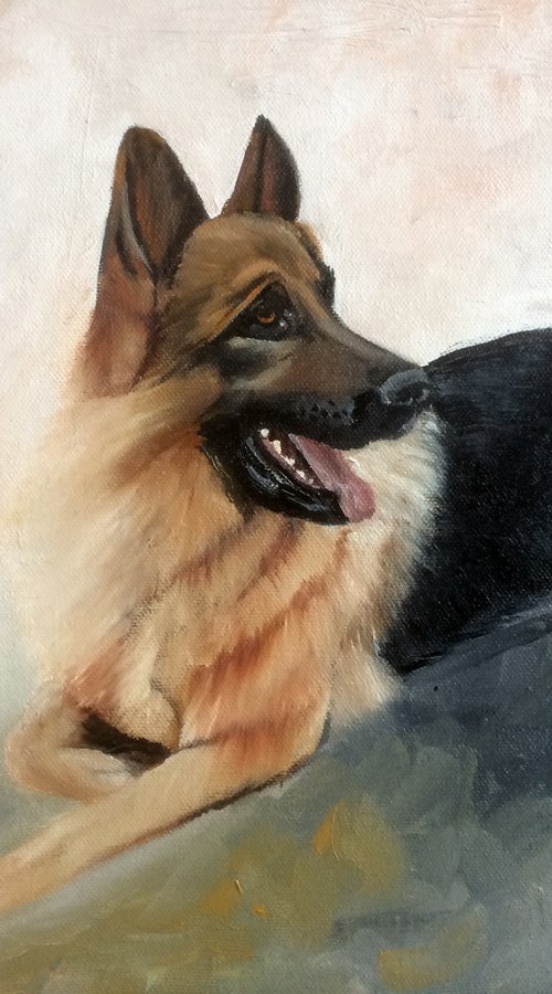 Favorite pet of the family by Ira Whittaker
