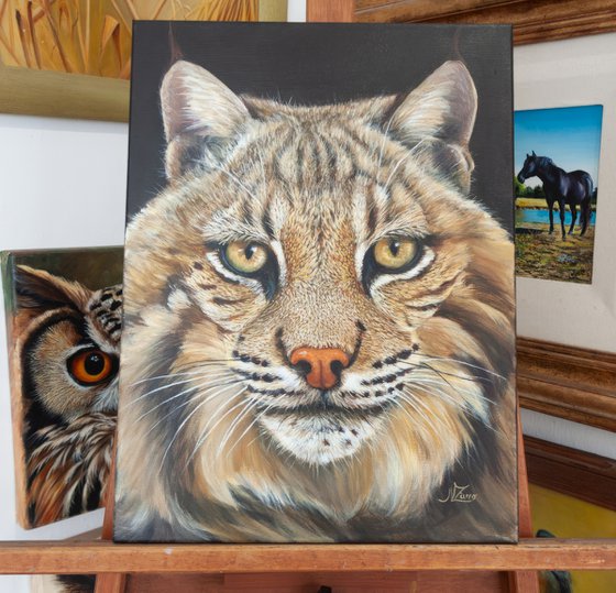 Lynx