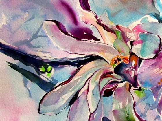 Magnolia flowering branch