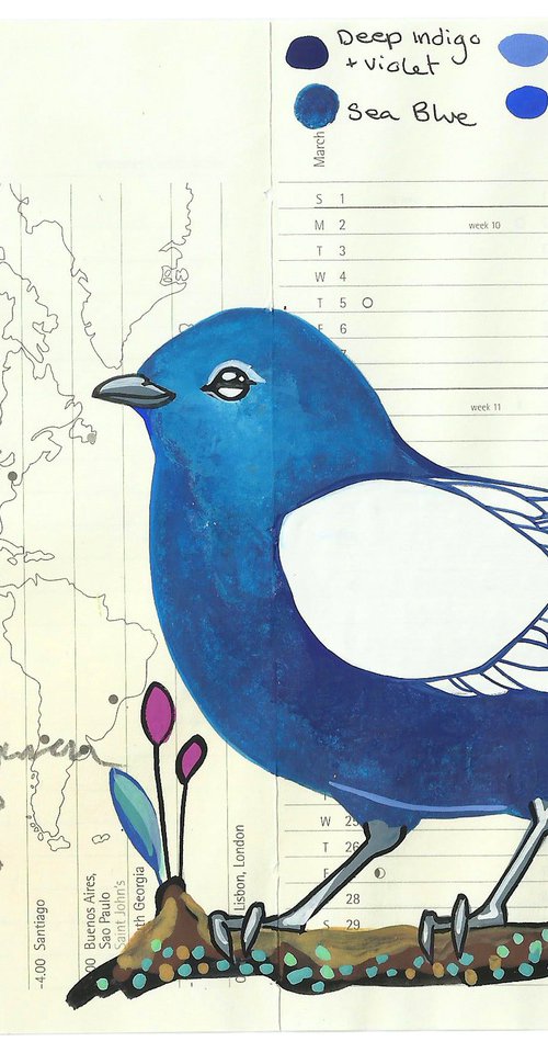 Birds of Australia: White Winged Fairywren by Fran Giffard