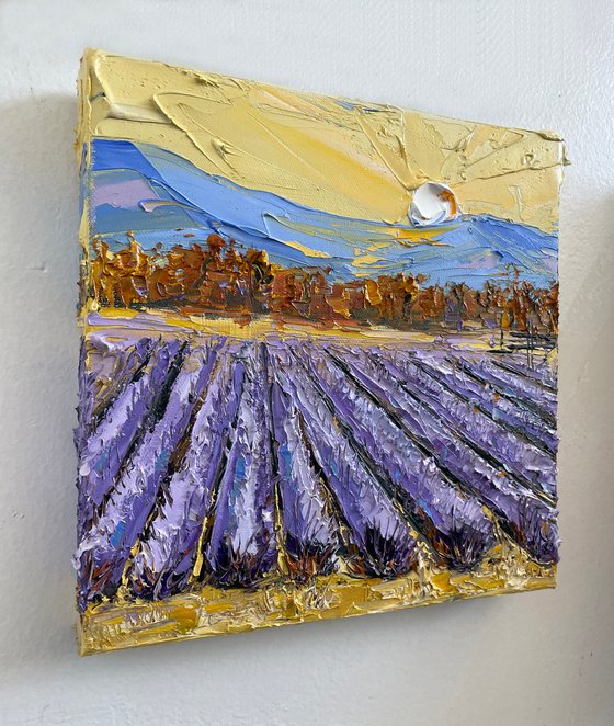 Napa Valley Lavender