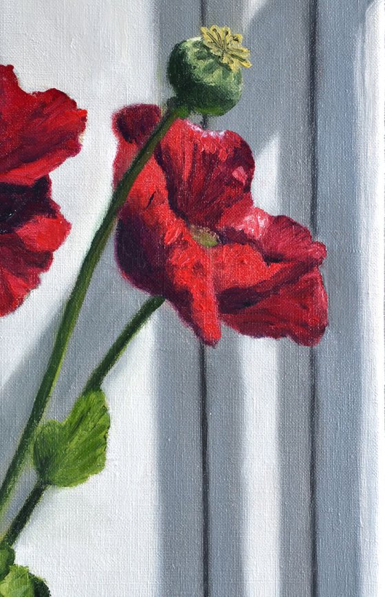 Red and Pink Poppies
