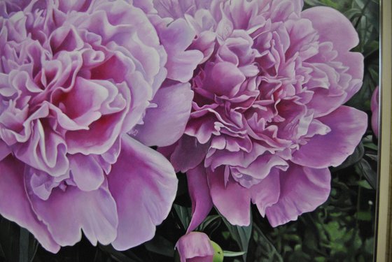 Peonies IV, Oil on Canvas Art