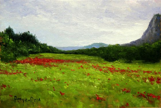 Meadow with poppies