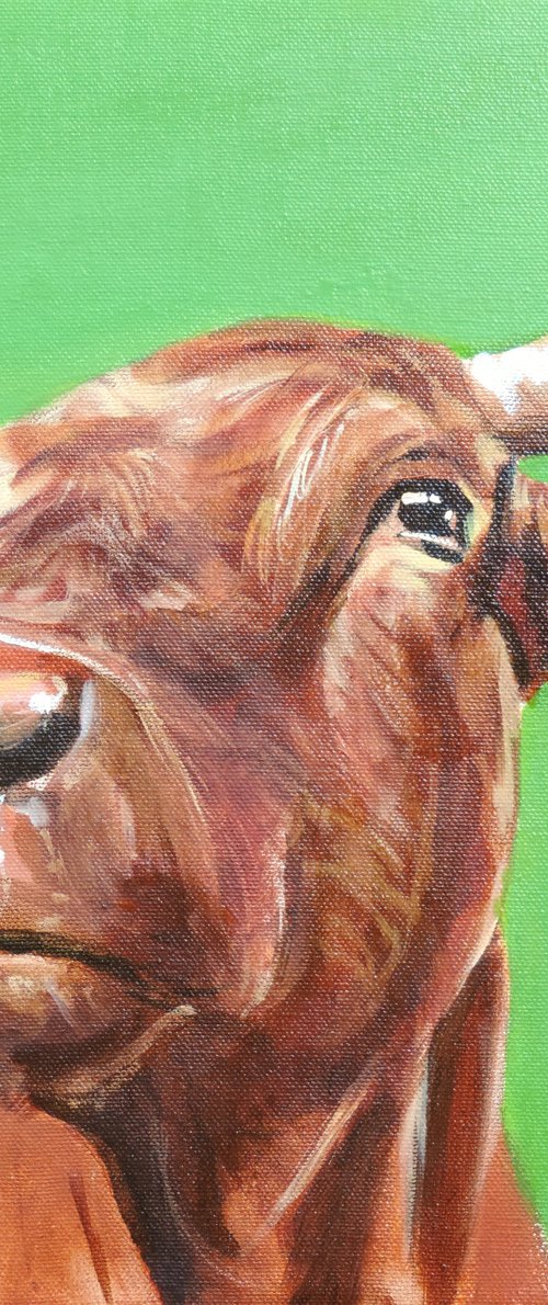 Cow close up painting green background by Gordon Bruce