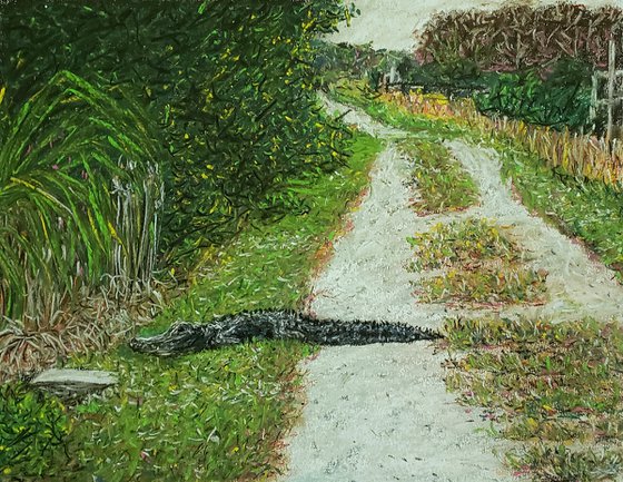 Alligator On The Trail